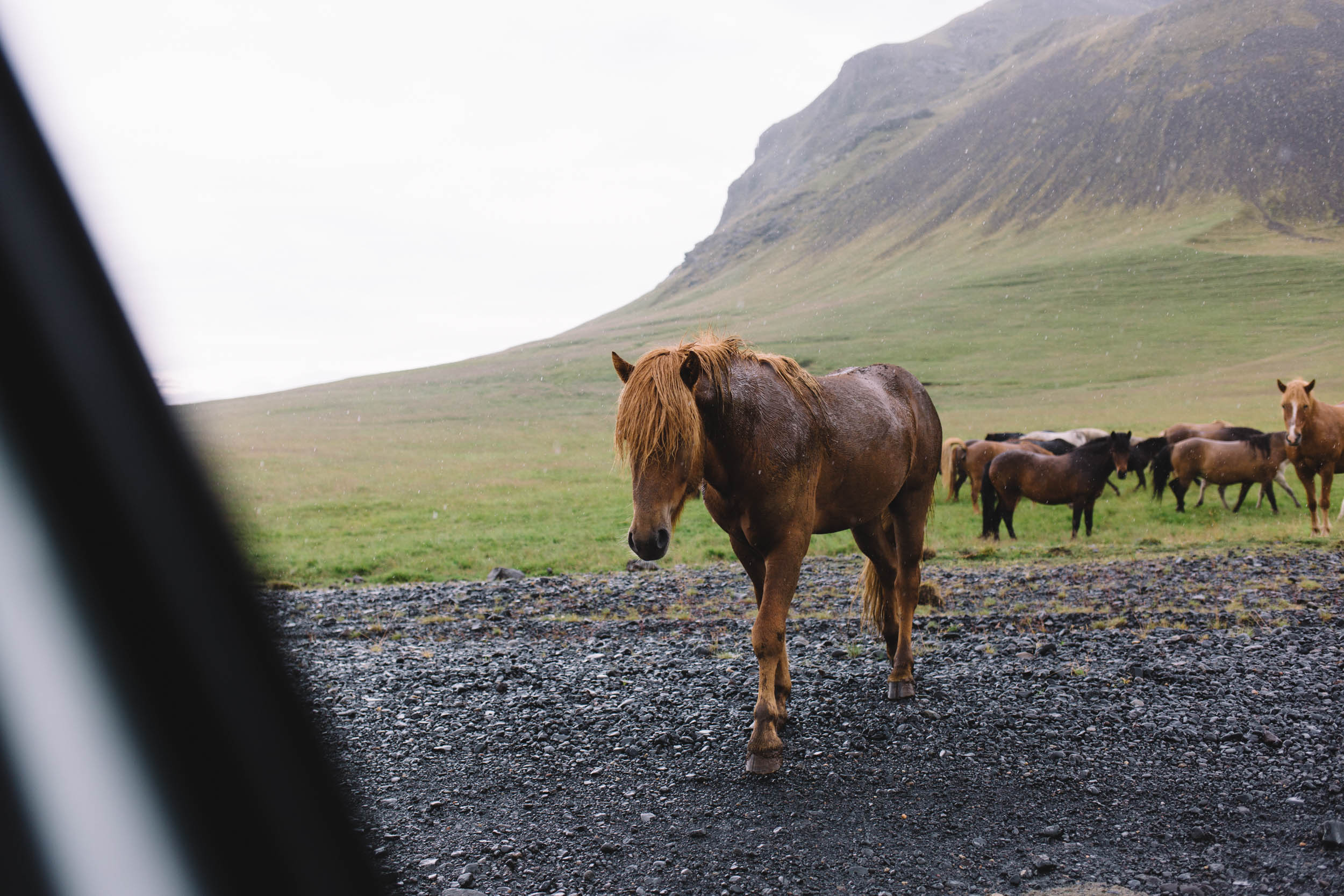 iceland-travel-camping-ring-road-005.jpg