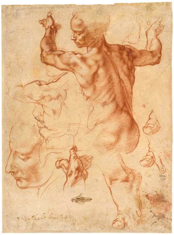 studies-for-the-libyan-sibyl1.jpg