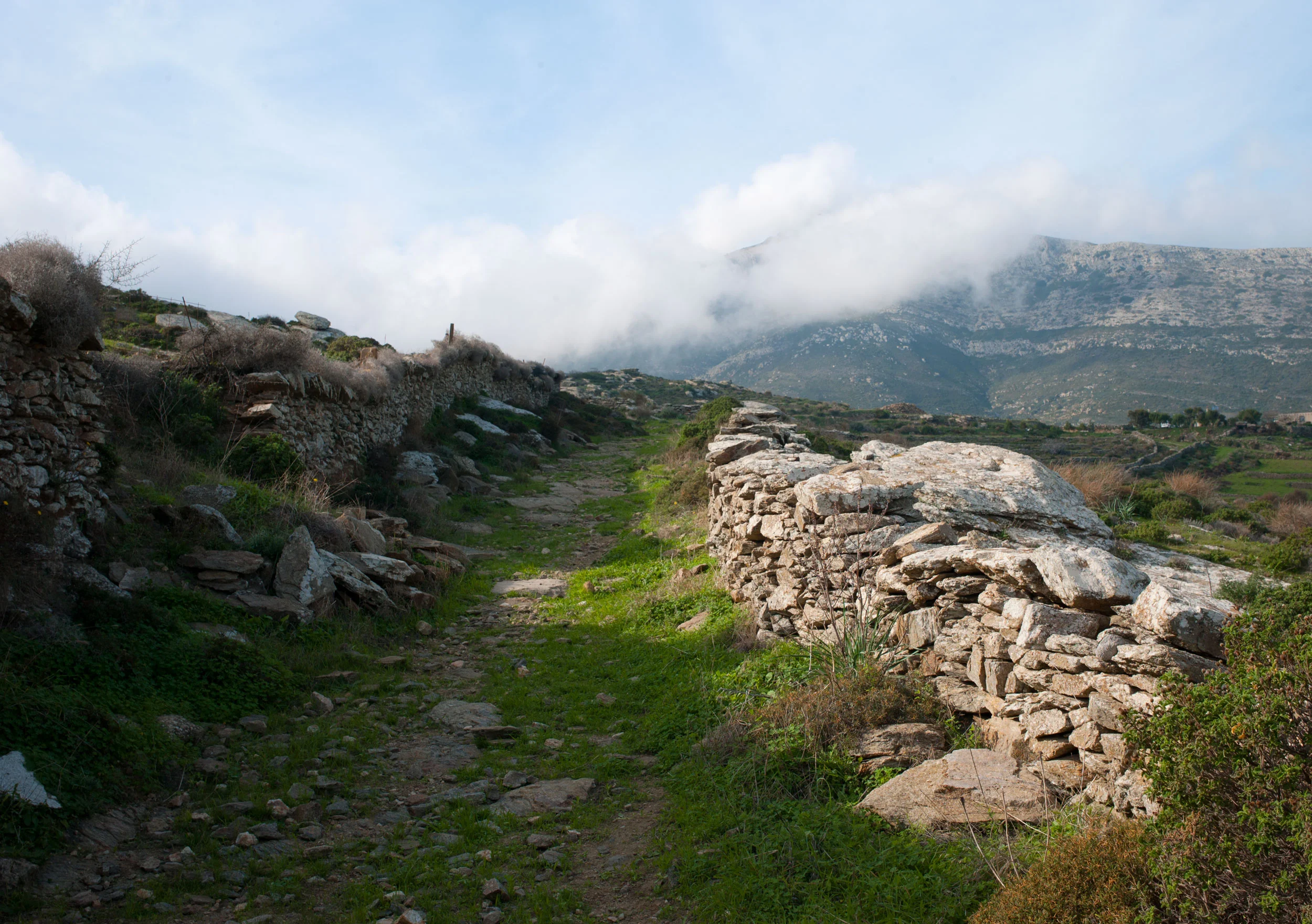 path-to-mist.jpg