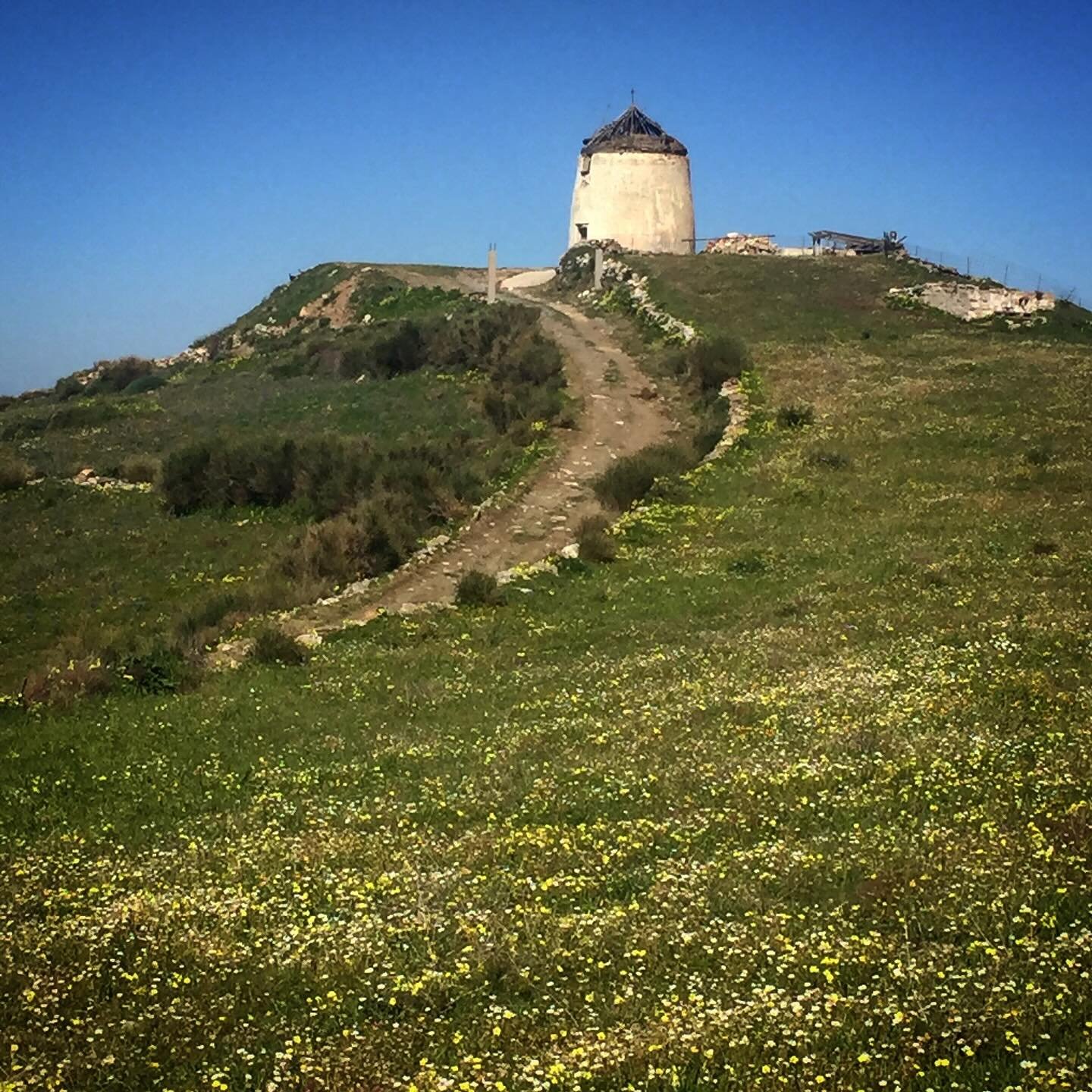 Spring  scenes in Paros.  Come and enjoy a class in figure drawing or oil painting.  Learn a new skill and walk the fields of flowers. #oilpainting #figuredrawing #paros #greece #flowers #landscape #learn #artschool #art