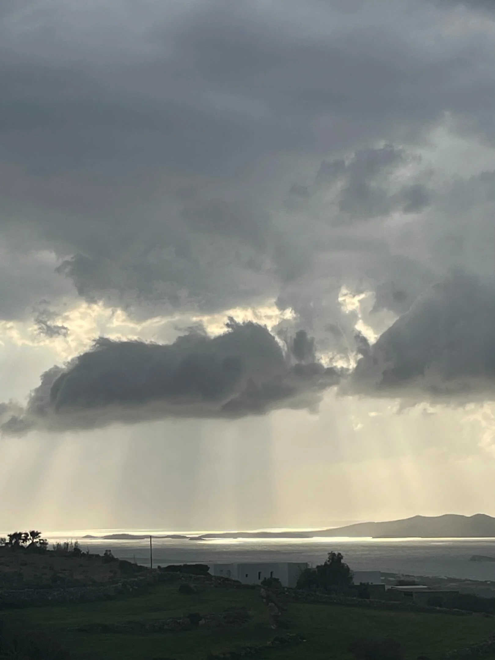 Winter storms bring wild flowers in the
Spring . Come for a workshop in May or June and enjoy the color.
#workshops #oilpainting #wildflowers #spring #storm #residencies #figuredrawing #studyart #learntopaint #greece #paros #islands
