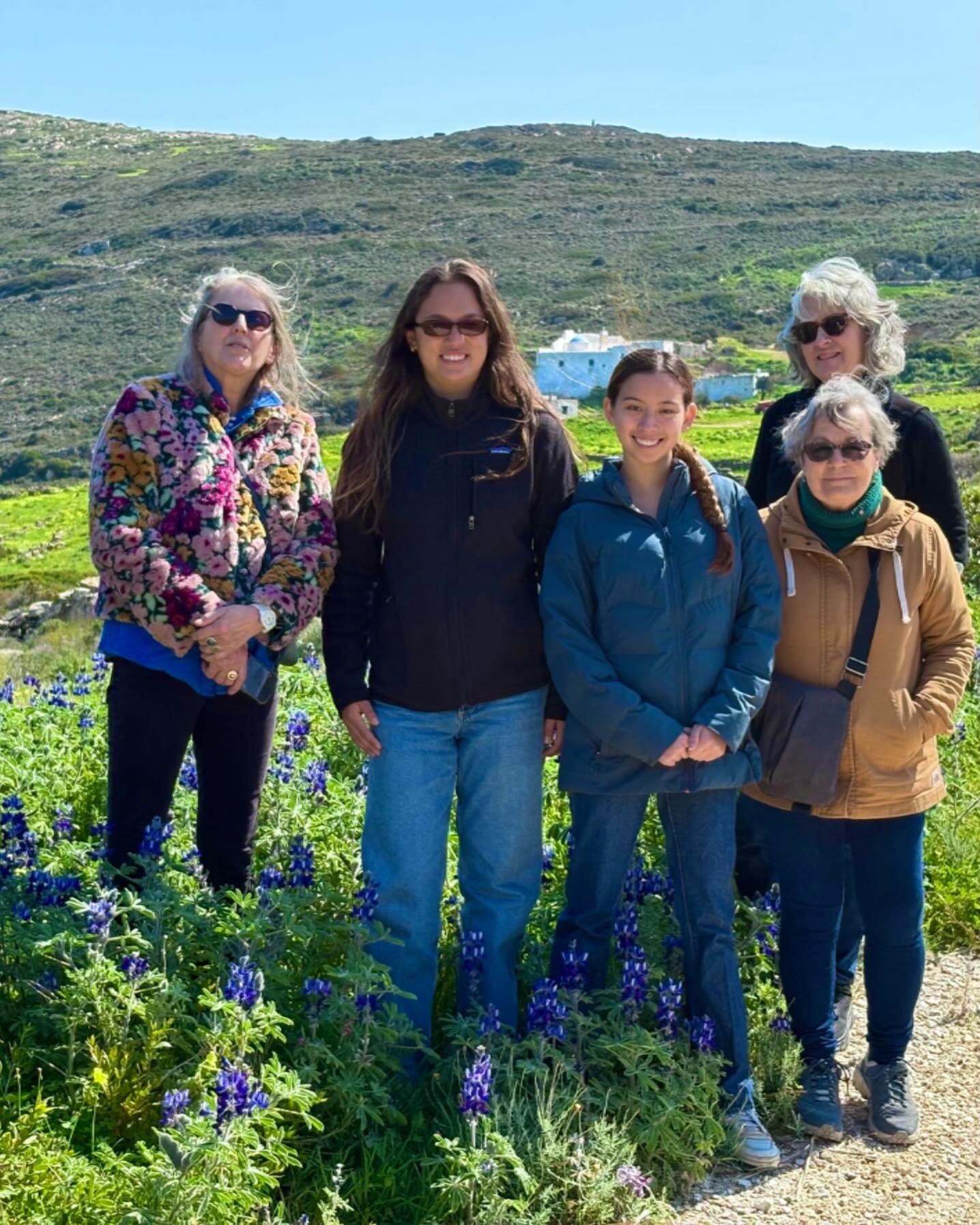 Walking in the fields of lupin near the monastery of Agia Kyriaki.#greece #paros #artschool #residency #workshops #learntopaint #learntodraw #oilpainting