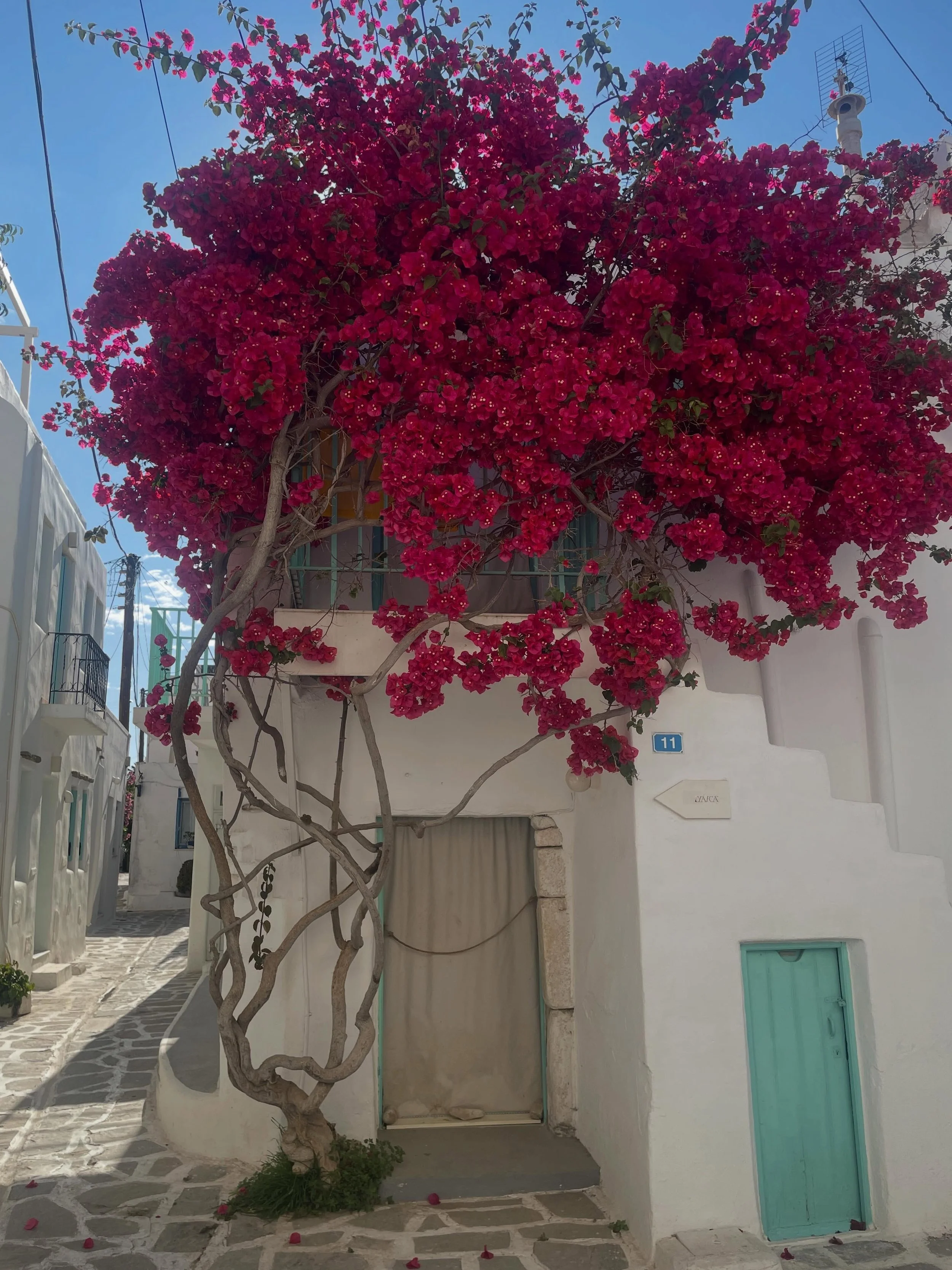Bougainville and white washed streets.  #residencies #workshops #artschool #paros #bougainville