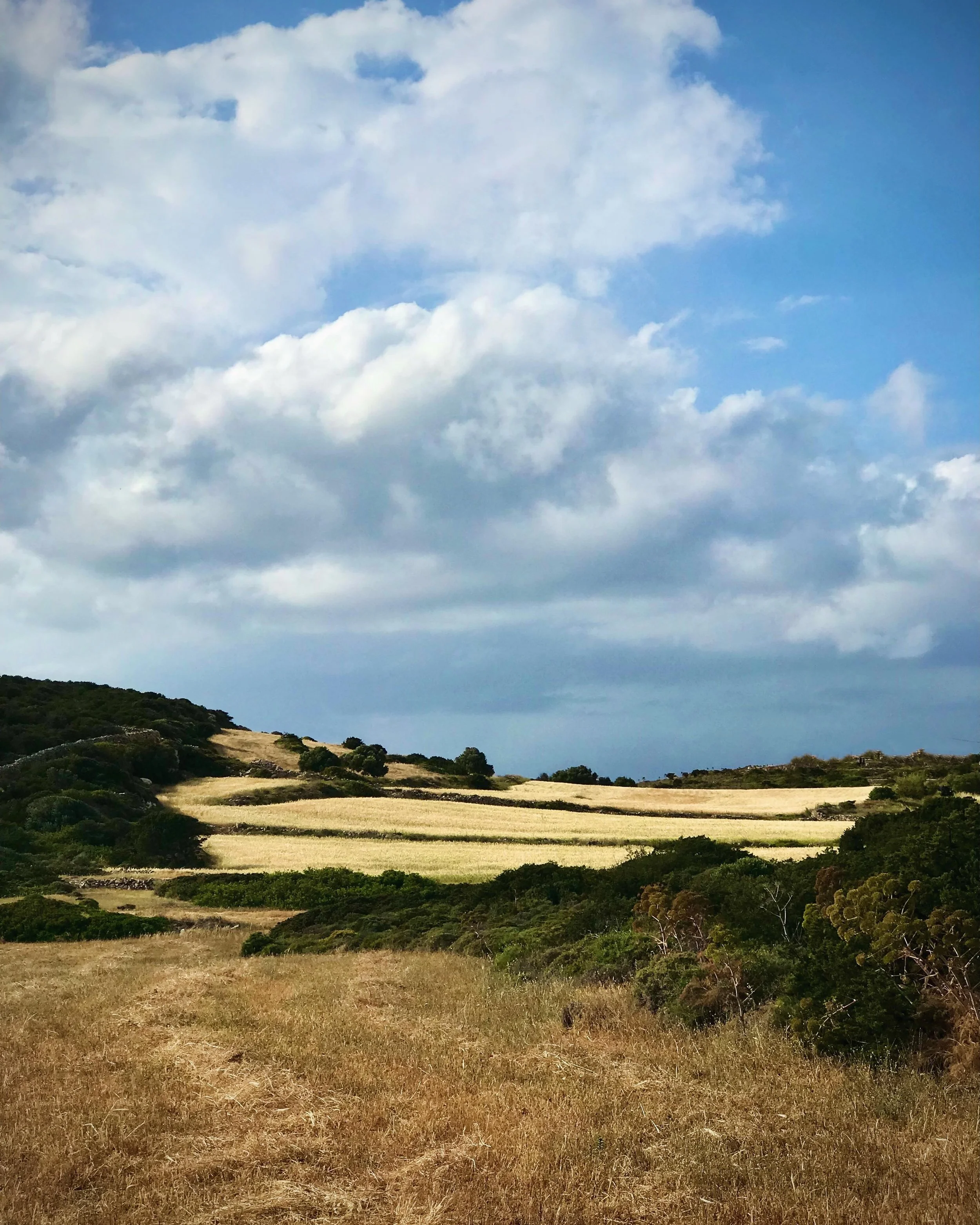 The fields are turning to gold with azure skies above.  #paros #artschool #fields #landscape #workshop