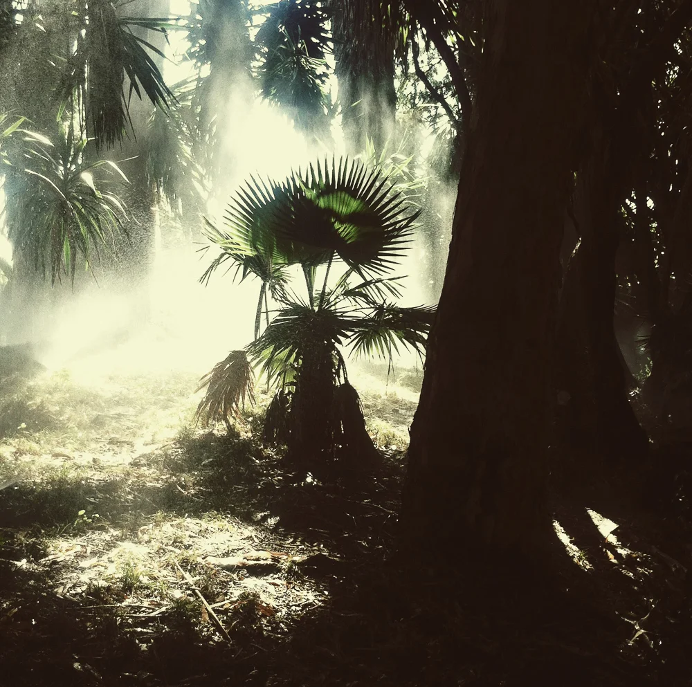 The Future is green II, Lisbon 2012 © Miri Berlin Photography