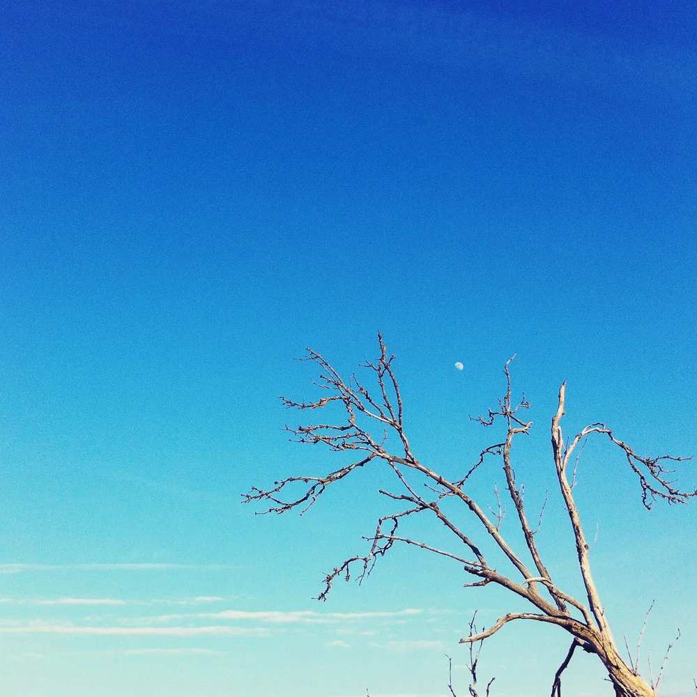 Untitled, Germany 2012 © Miri Berlin Photography