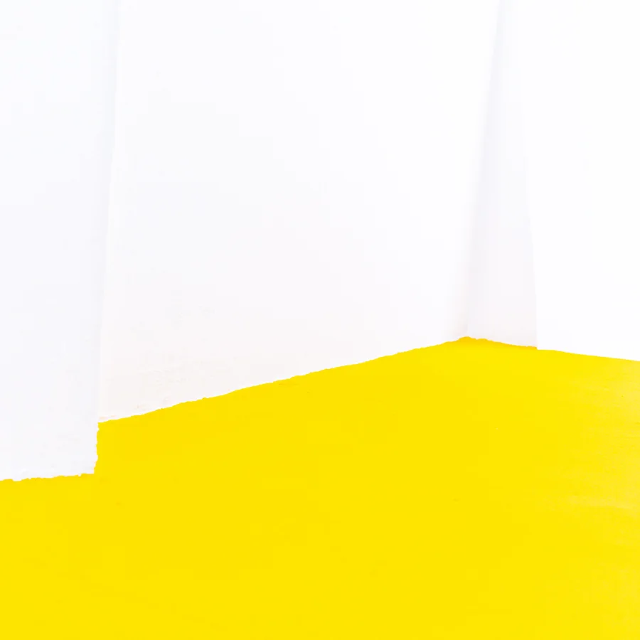 YellowWhite III © Miri Berlin Photograph