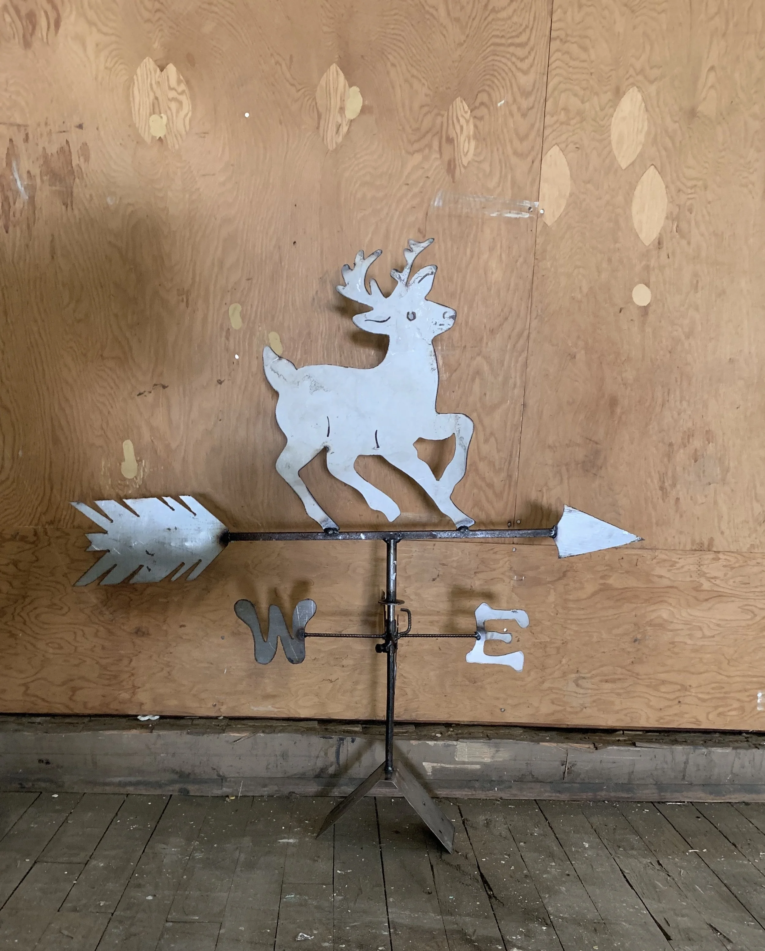 Deer