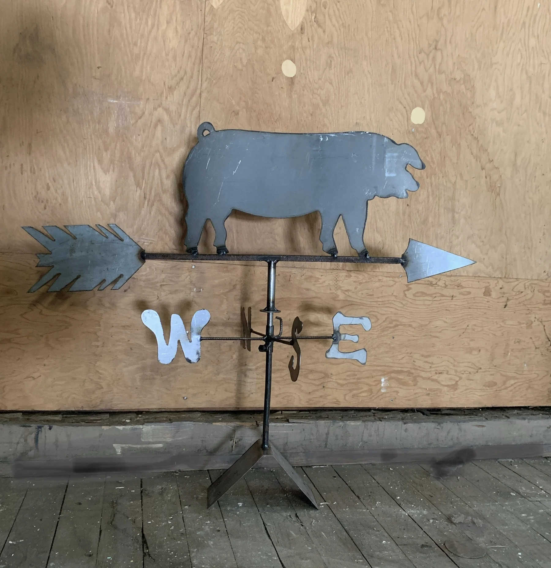 Pig