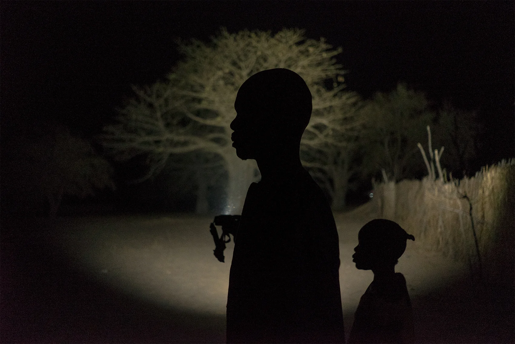 Chiekh Gaye, Sakagne