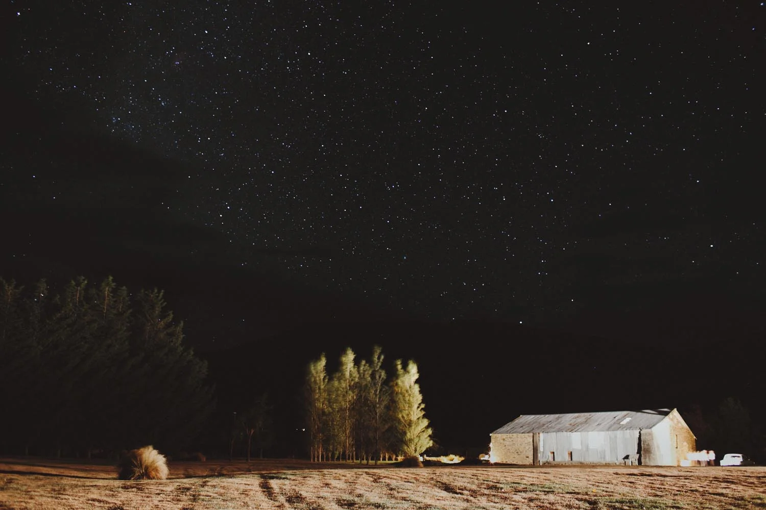 justin_aaron_queenstown_thelby_domain_new_zealand_wedding_sally_lachlan-182.jpg