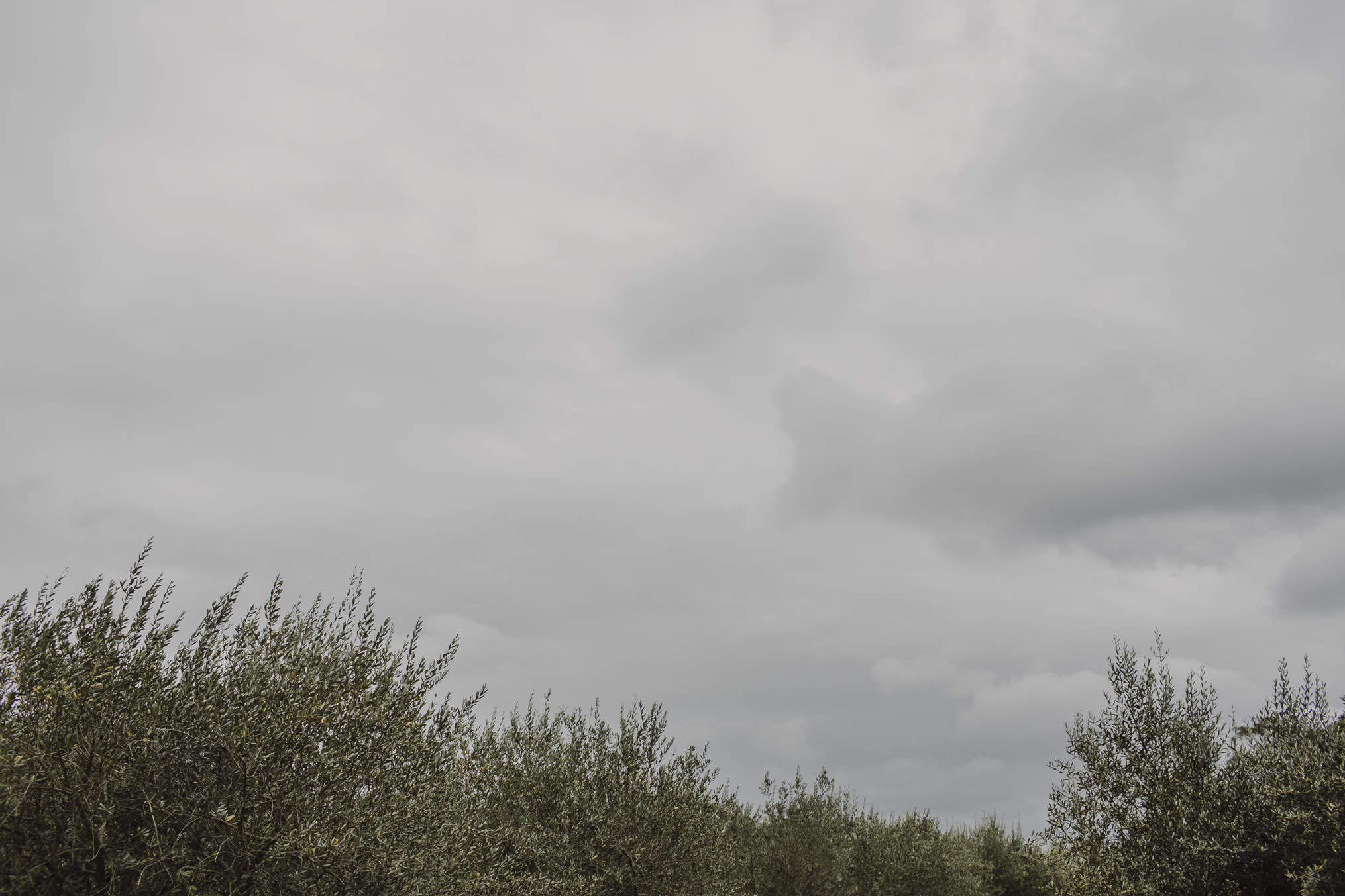 151018_justinaaron_wedding_annabelle_daniel_pp-001.jpg