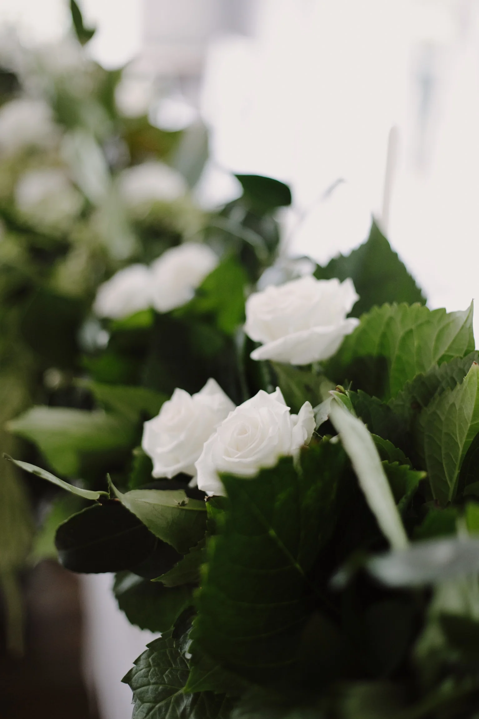 justinaaron-bells-at-killcare-wedding-chanelle-david-006.jpg