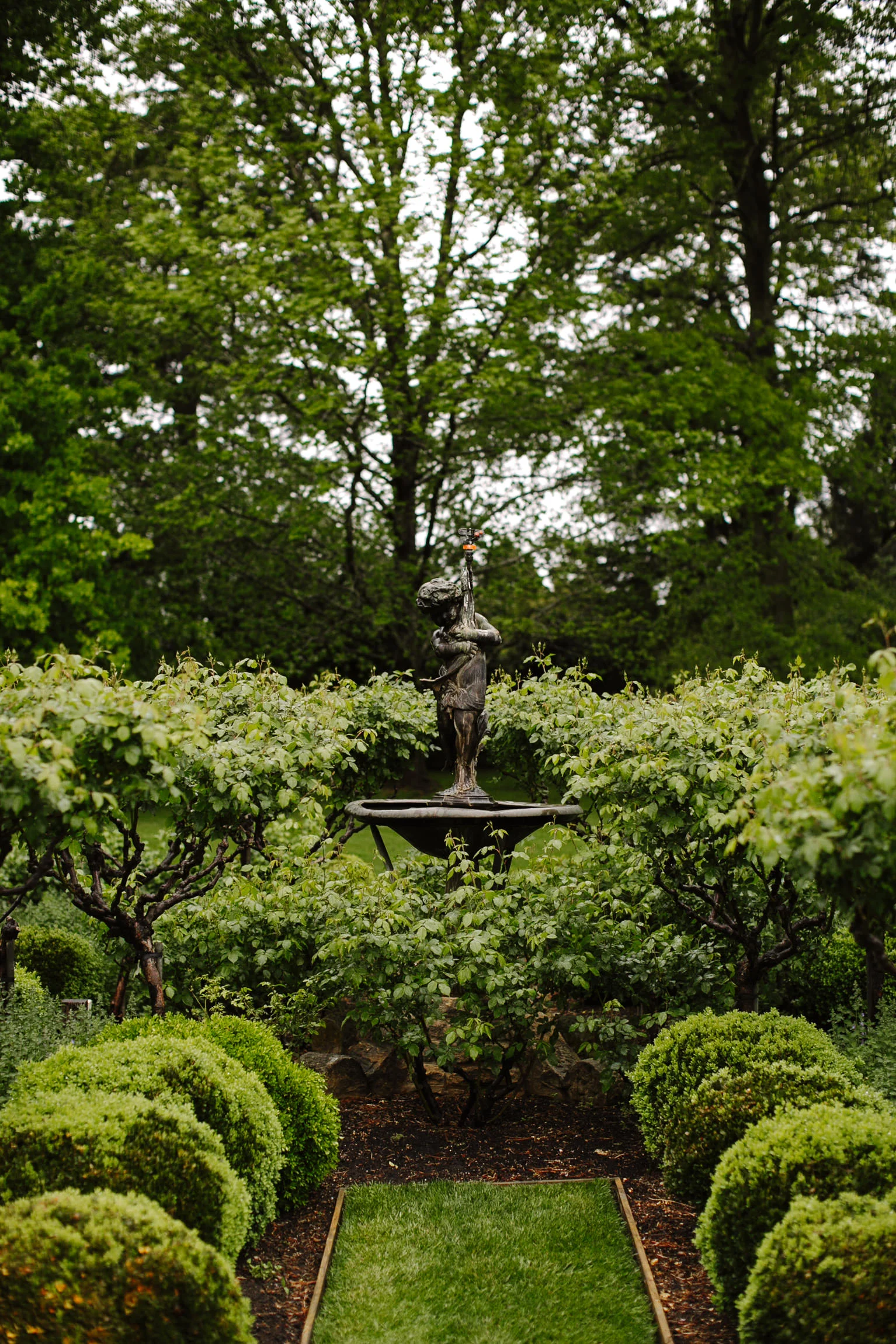 justinaaron-bendooley-estate-wedding-vanessa-dom-019.jpg
