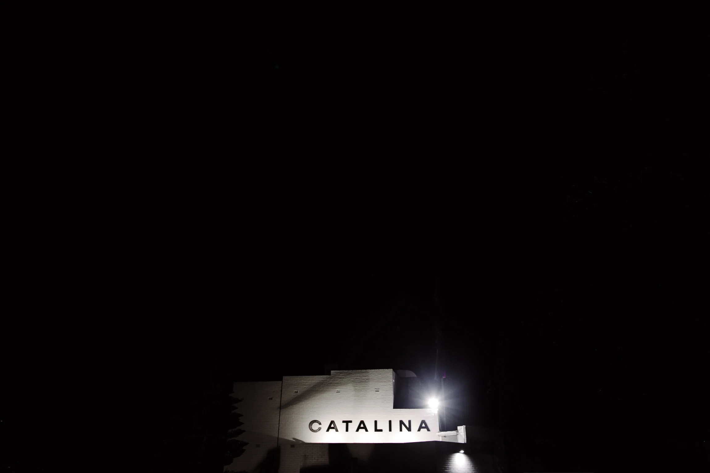 justinaaron-catalina-rosebay-wedding-courtney-alex-088.jpg