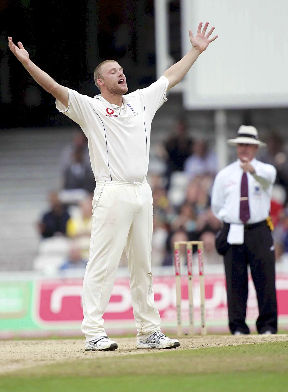 flintoff_wicket.jpg