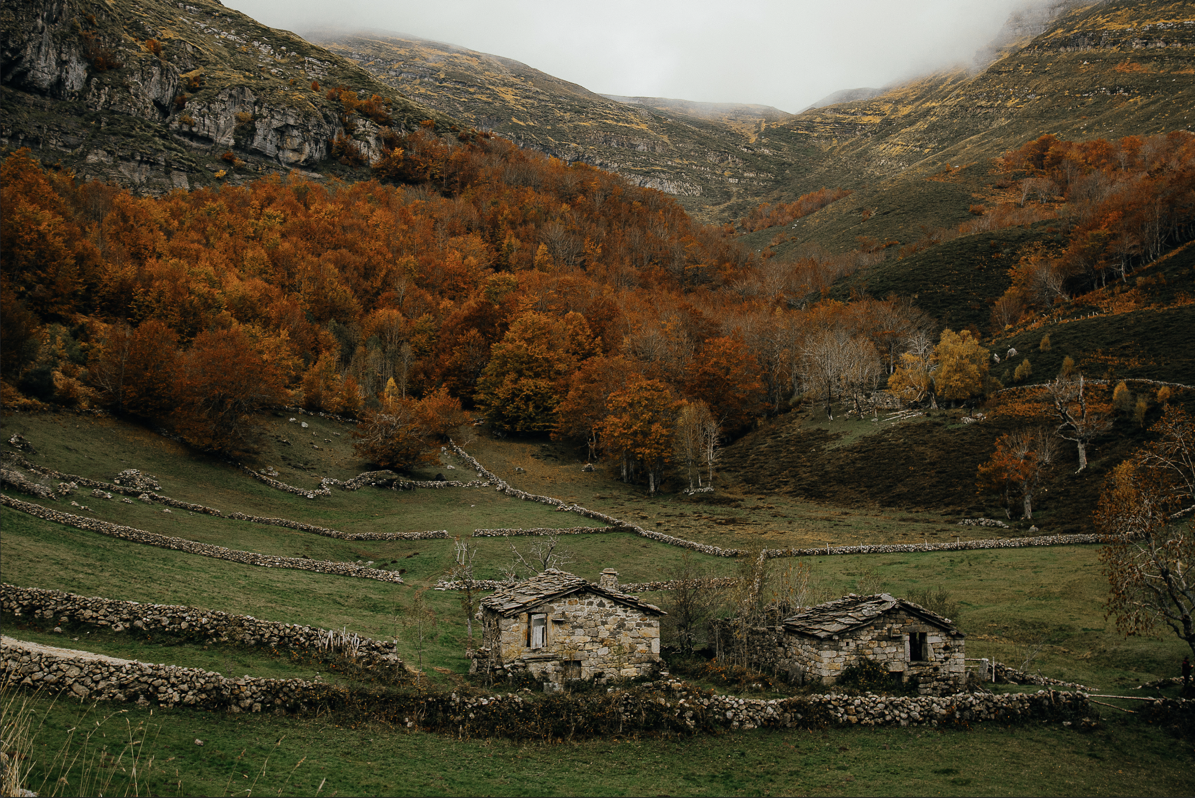 PAULAMEIS THO OTHER NORTH8.png