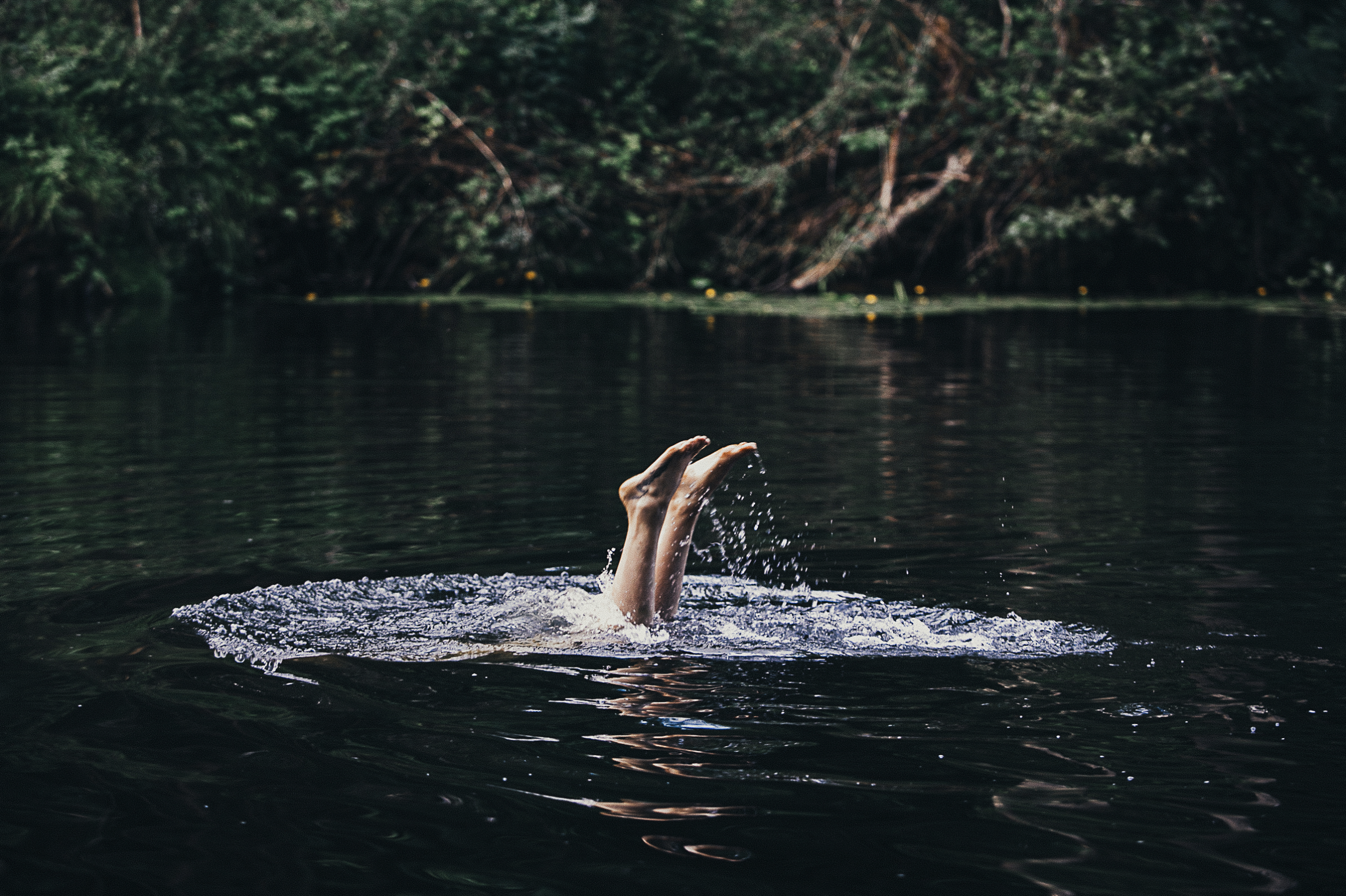 PAULAMEIS THO OTHER NORTH0.png