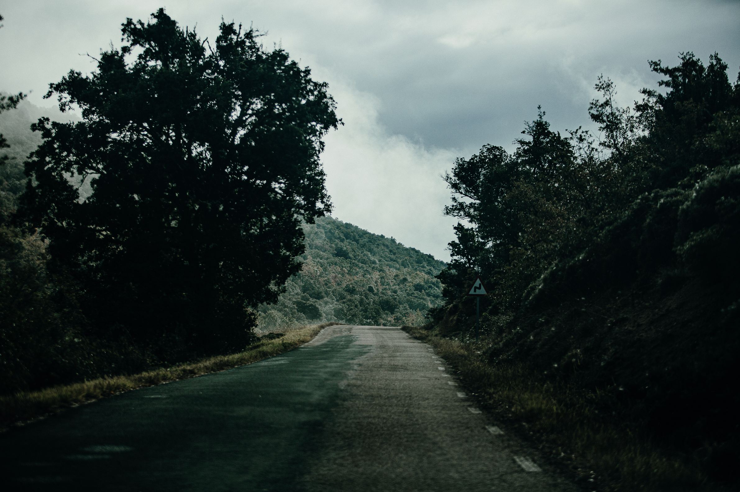 PAULAMEIS THO OTHER NORTH5.png