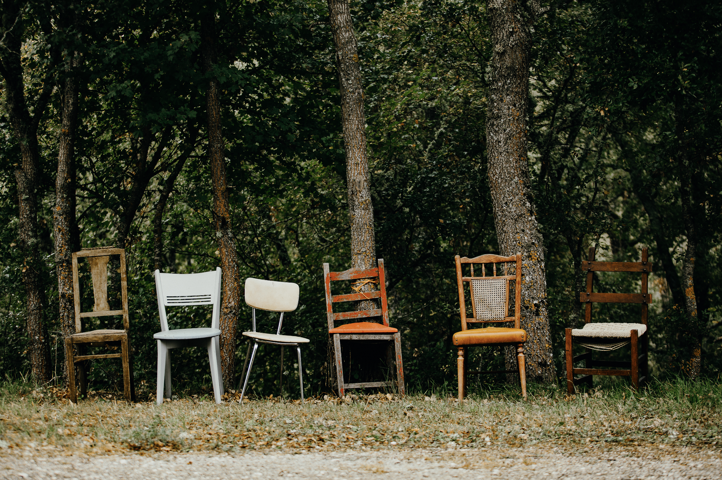 PAULAMEIS THO OTHER NORTH4.png