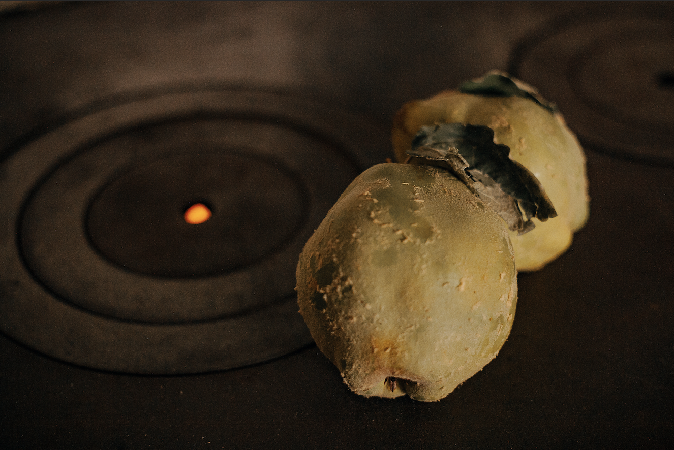 PAULAMEIS THO OTHER NORTH1.png