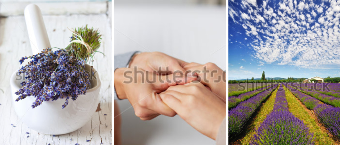 Header Image1.jpg