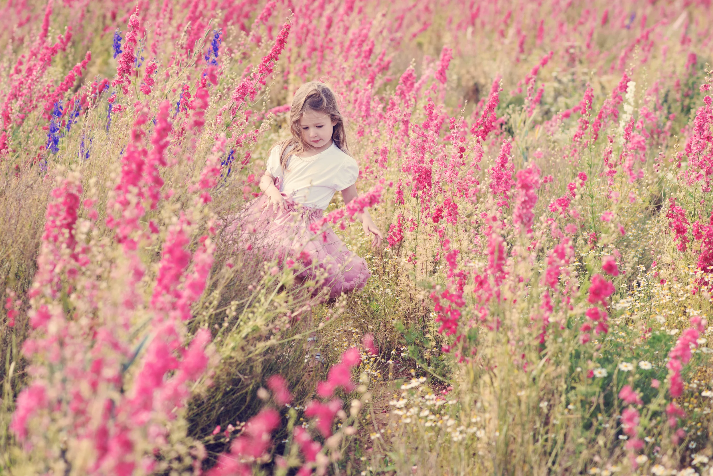 Flower Field Family Photos with Emma, Ed & Lila.
