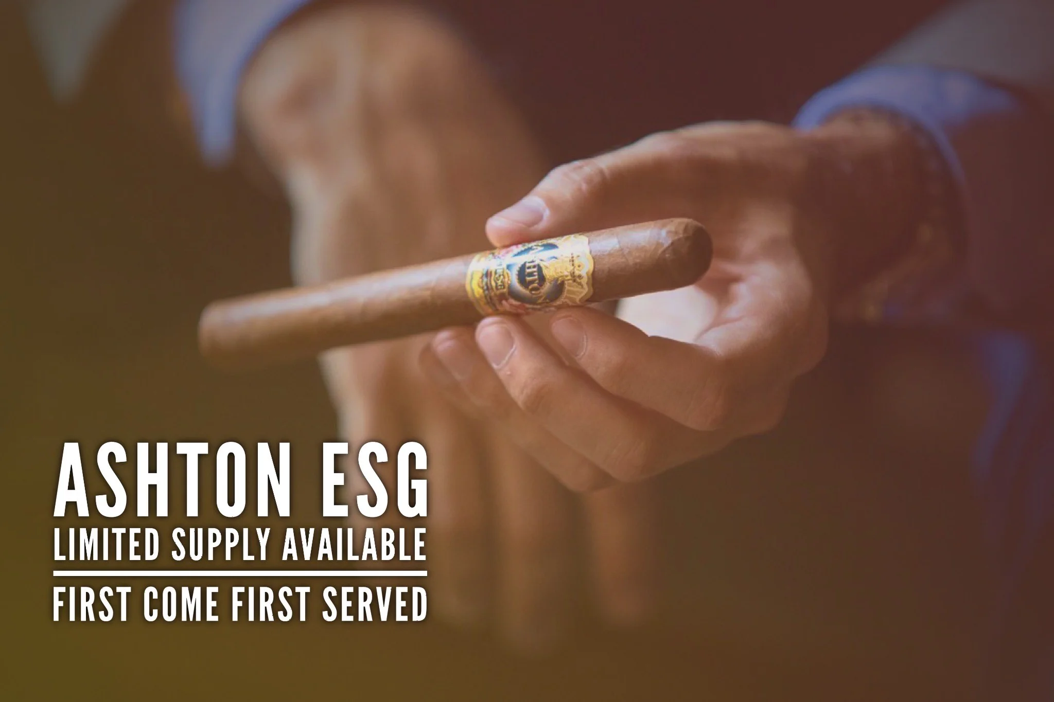 Ashton ESG cigars wholesale.jpg