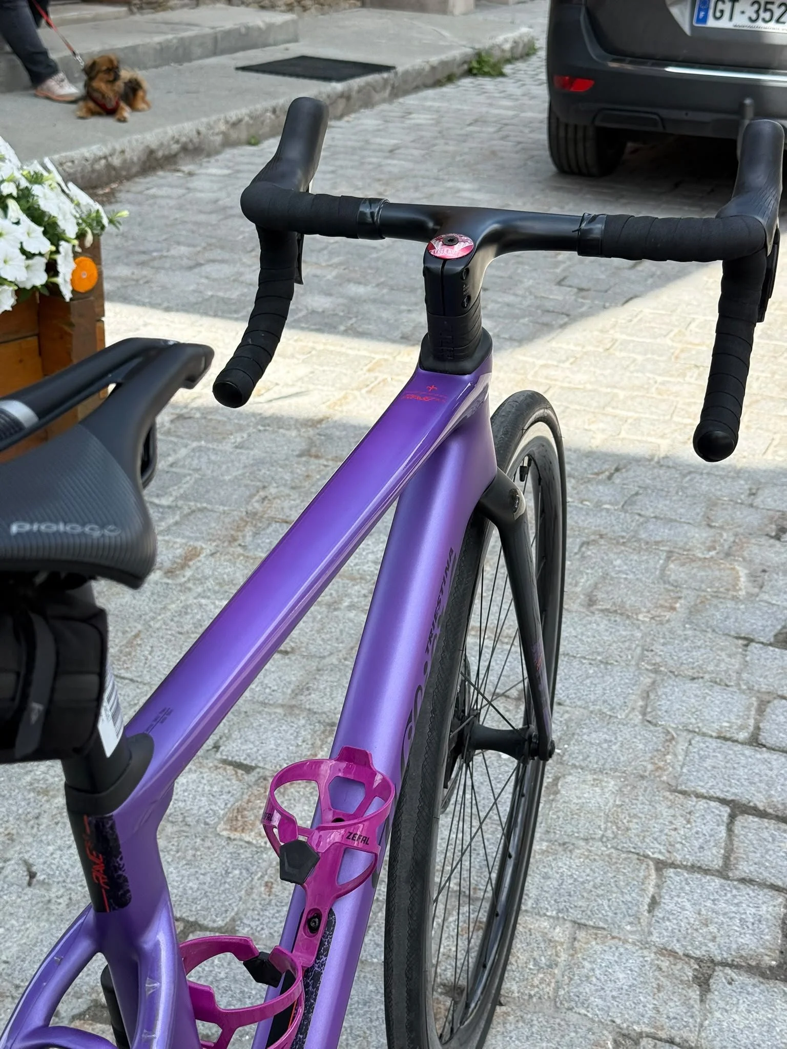Rave SLR Ultegra S 6.jpeg