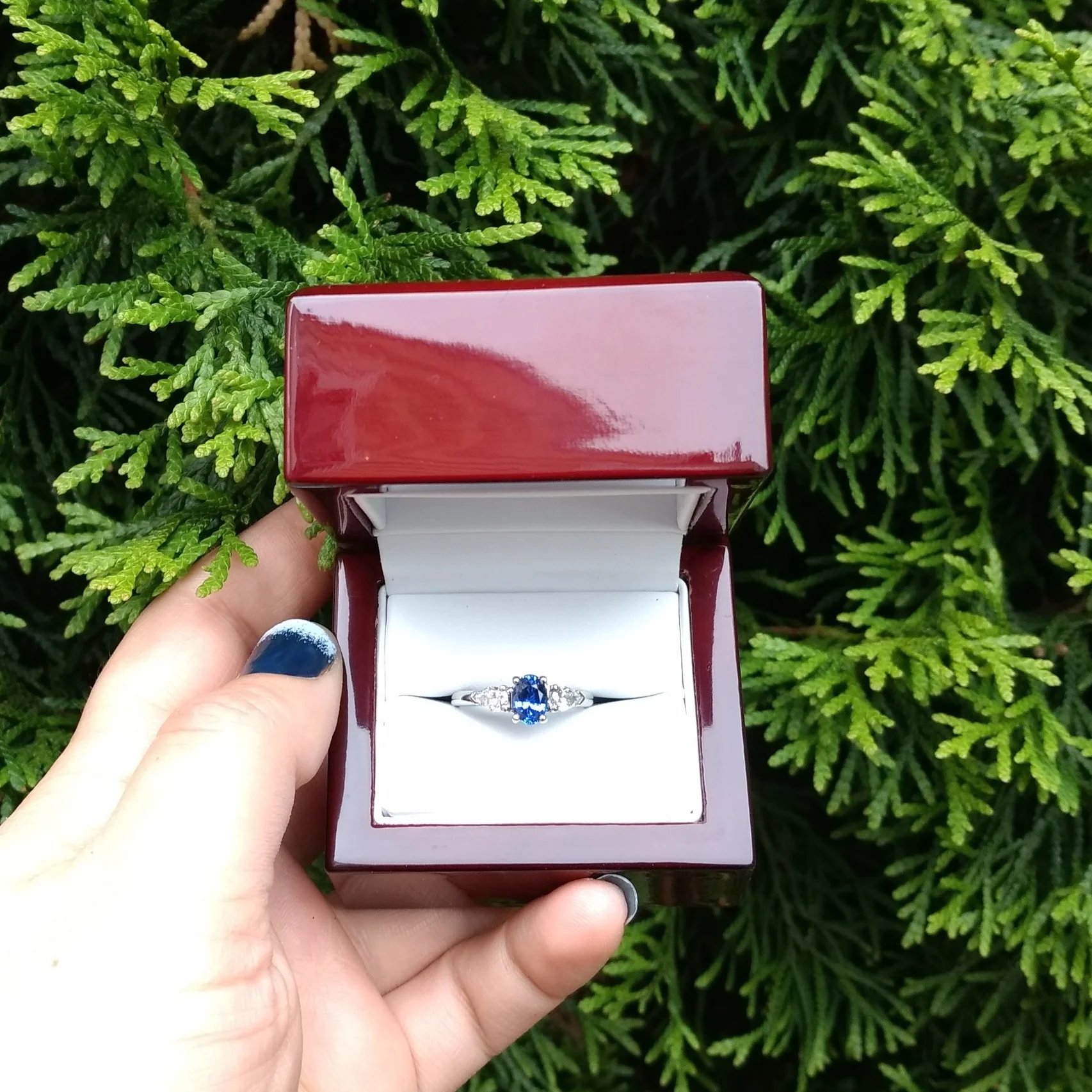 2018-06-20 09.26.57.jpg