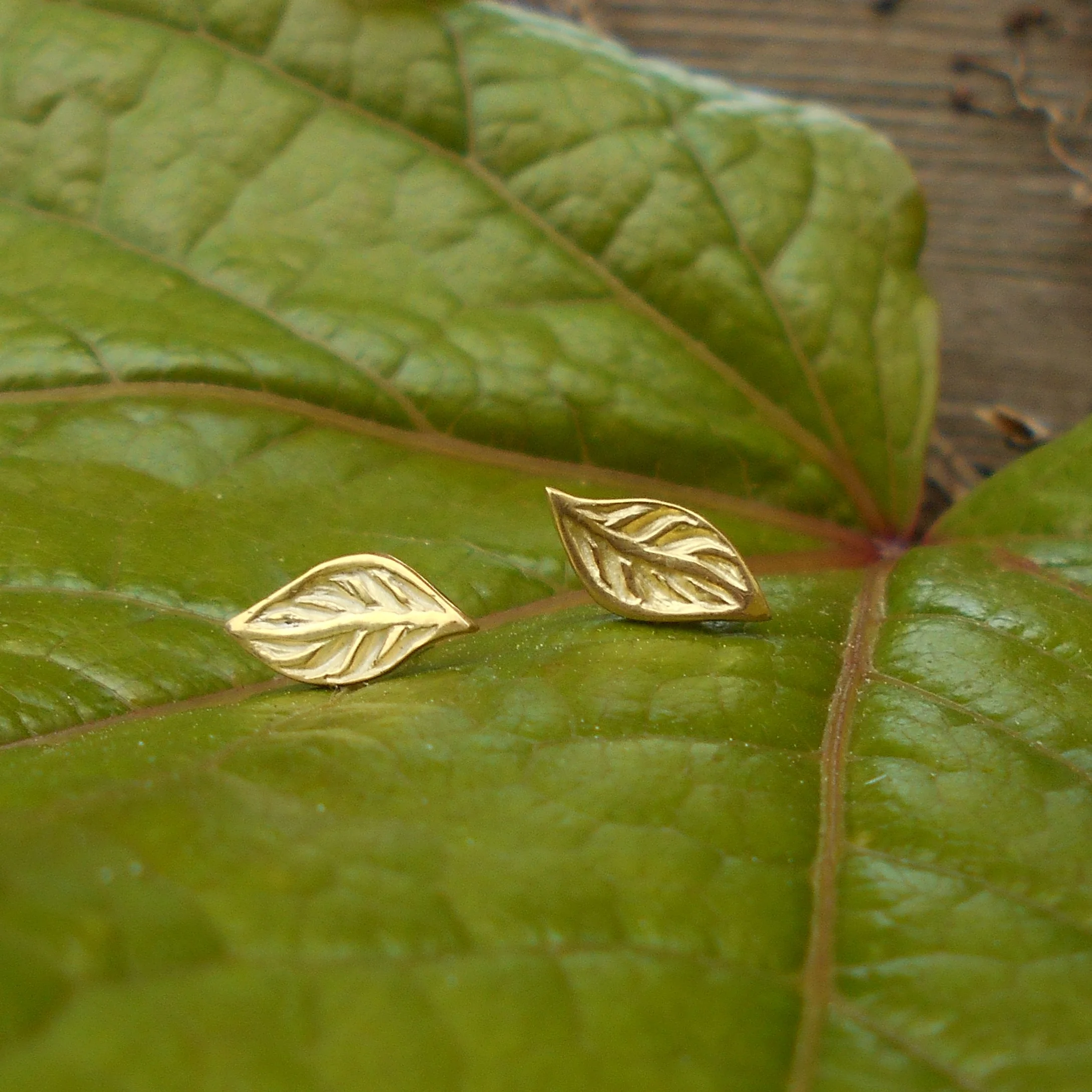 stud leaf earrings.jpg