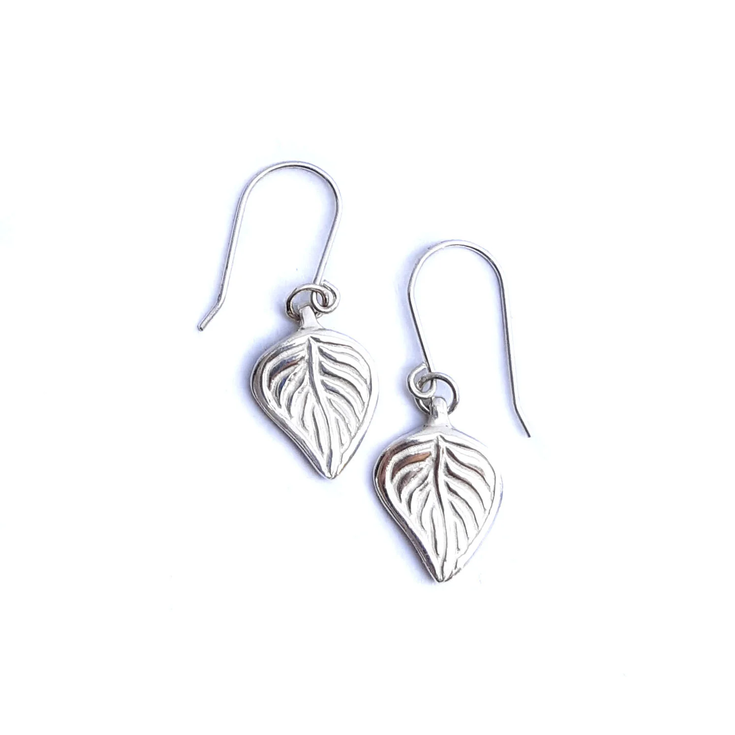 aspen ear2.jpg