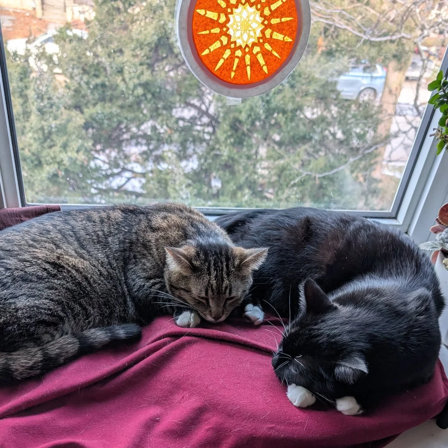 Merry Christmas and much joy to you and yours with the returning light!