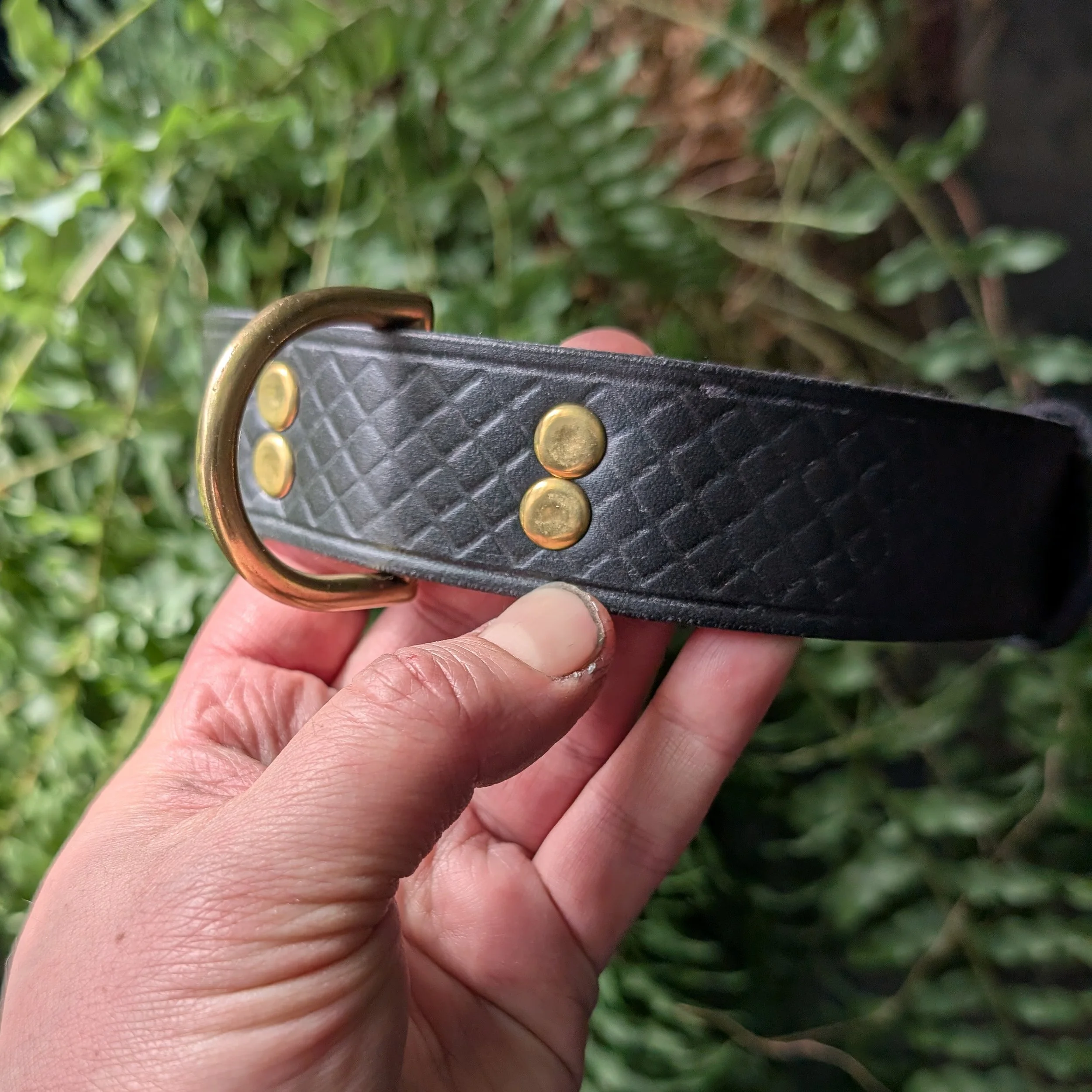 collar PXL_20260213_183959054.jpg