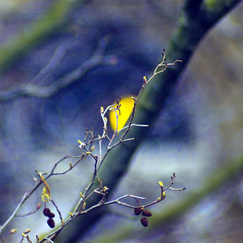 Image by Lefteris Heretakis