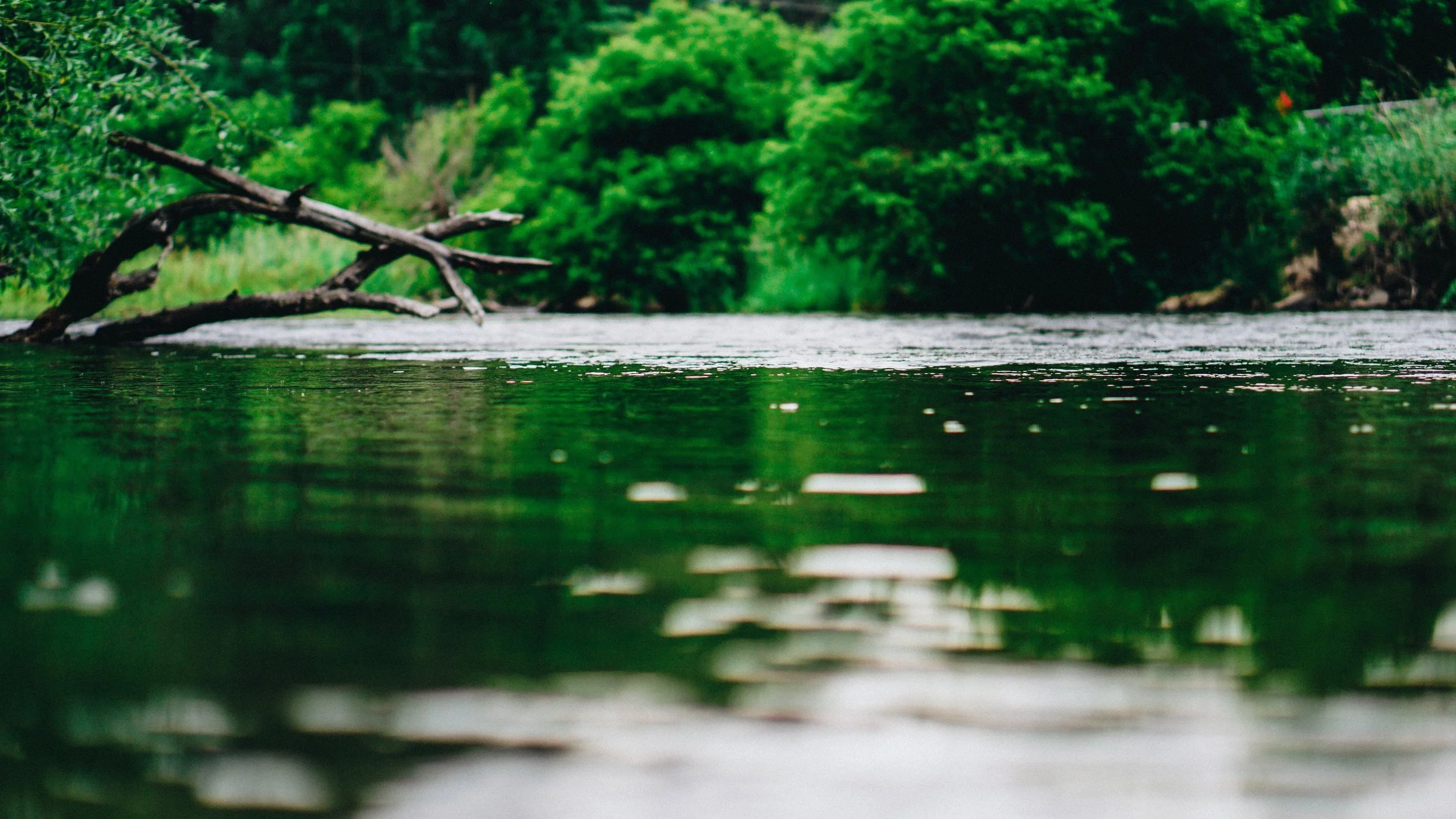 Jason Dudley on Unsplash