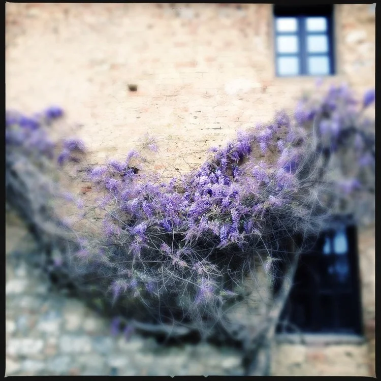 San Gimignano, Tuscany 2015