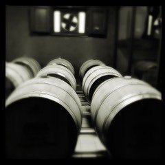 Cellar, Poggio Alluro