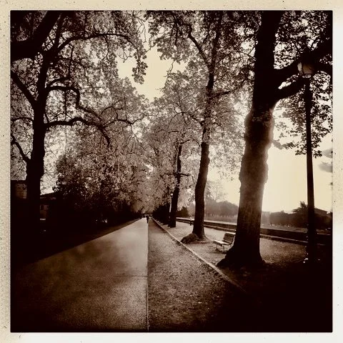 afternoon in Lucca on the wall, 2017, 10x10