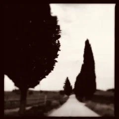 almost like a dream, 2016 10x10