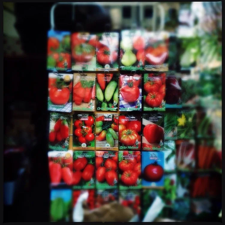 hardware store, Cole Val d' Elsa,2017, 10x10