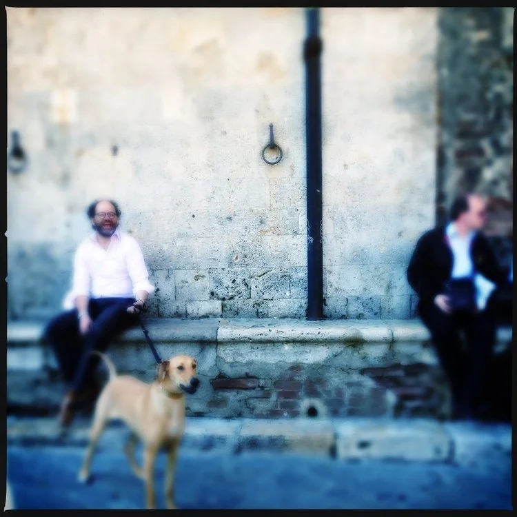 locals, Siena, 2016, 10x10
