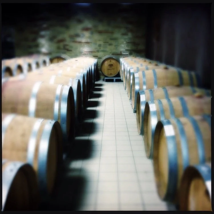 Poggio Alluro, 2016, 10X10