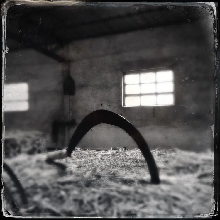barnyard, poggio alloro, 2015,10x10 print
