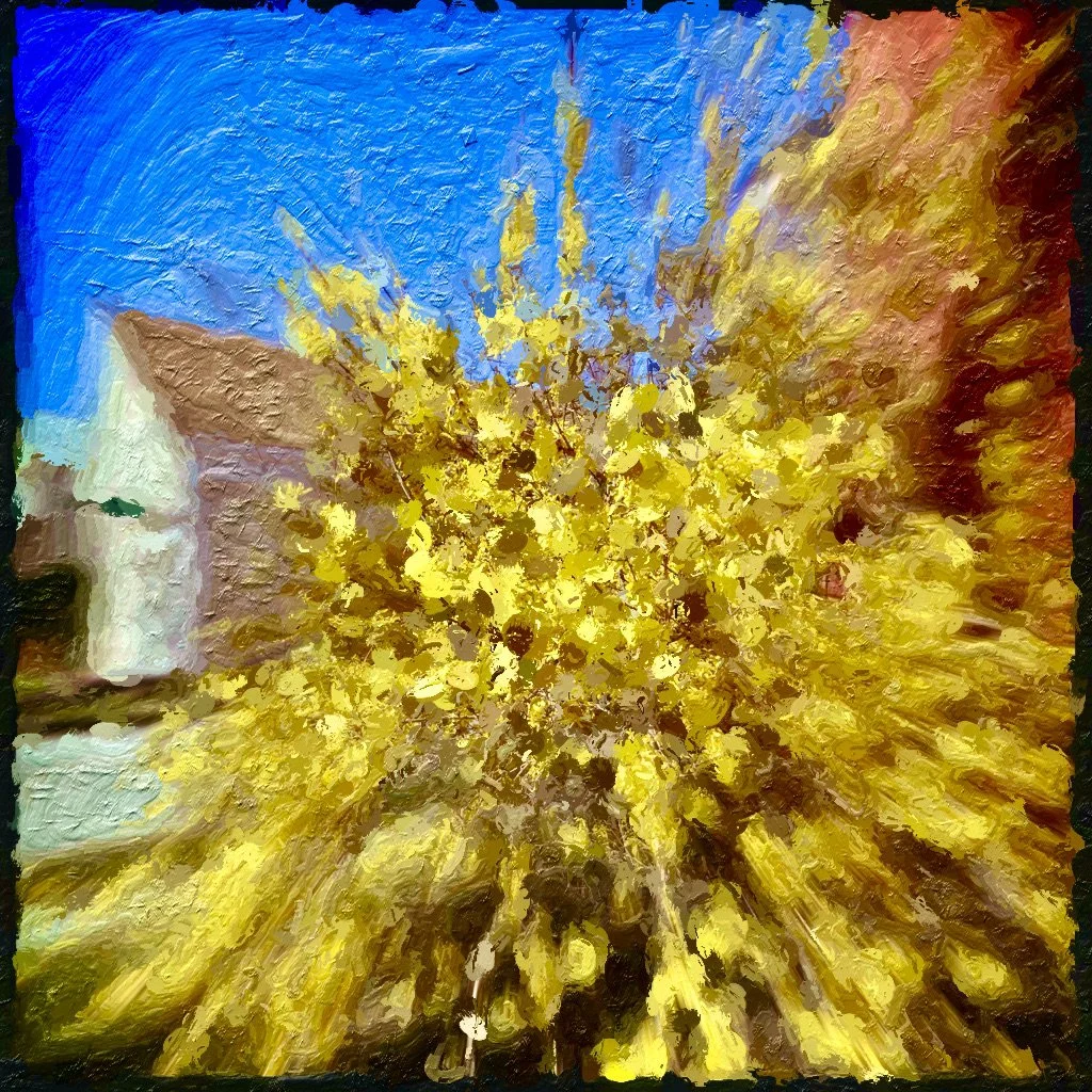 blue sky spring day, 2024