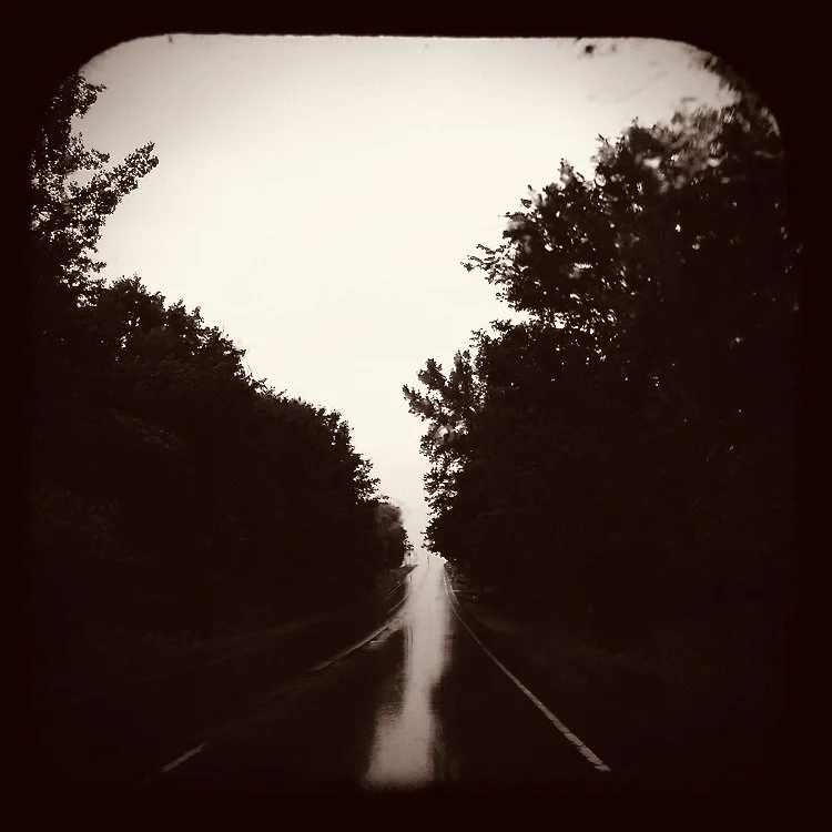 somewhere in a dream, 2016