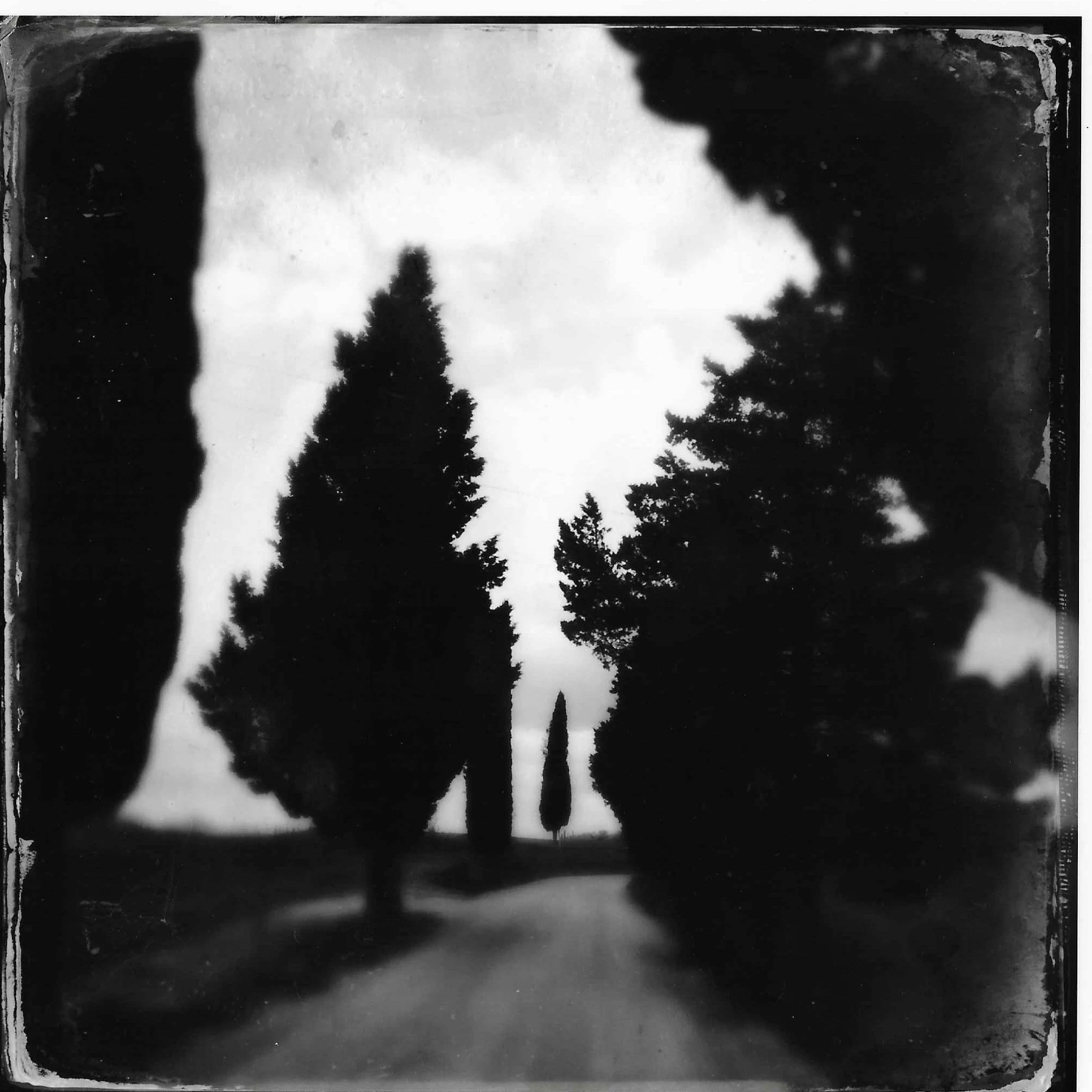 day dream, 2015, tuscany
