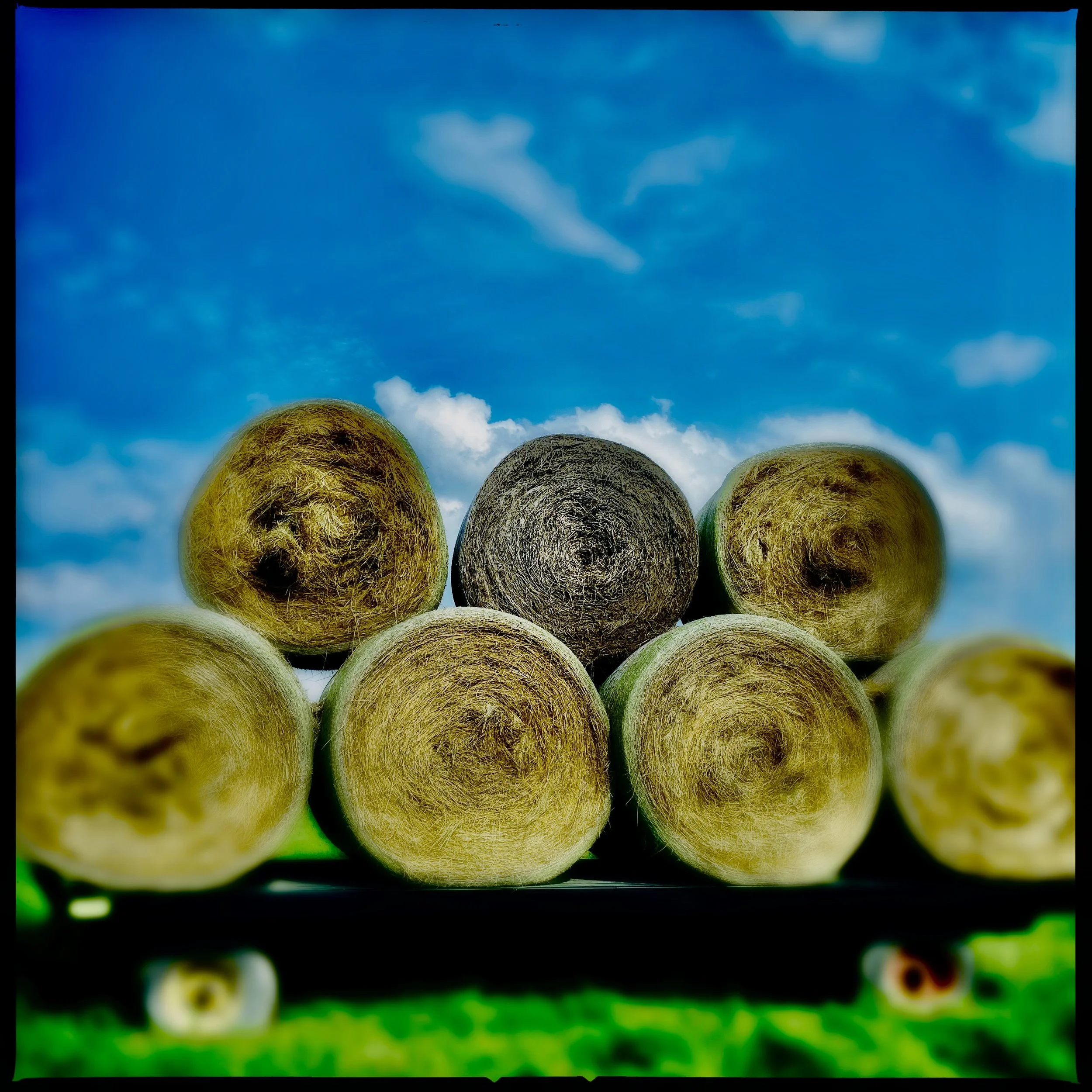 blue sky hayride,2024