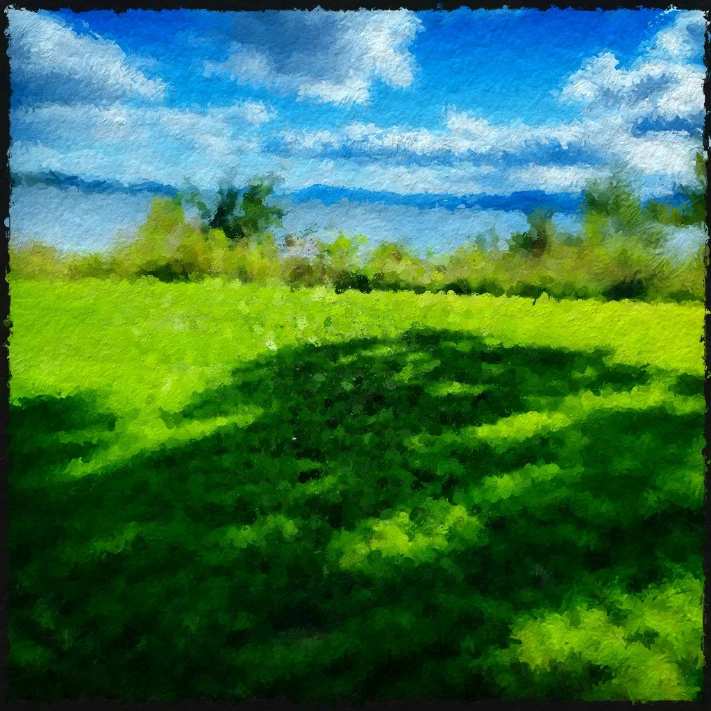 hiding in the shadows, 2024