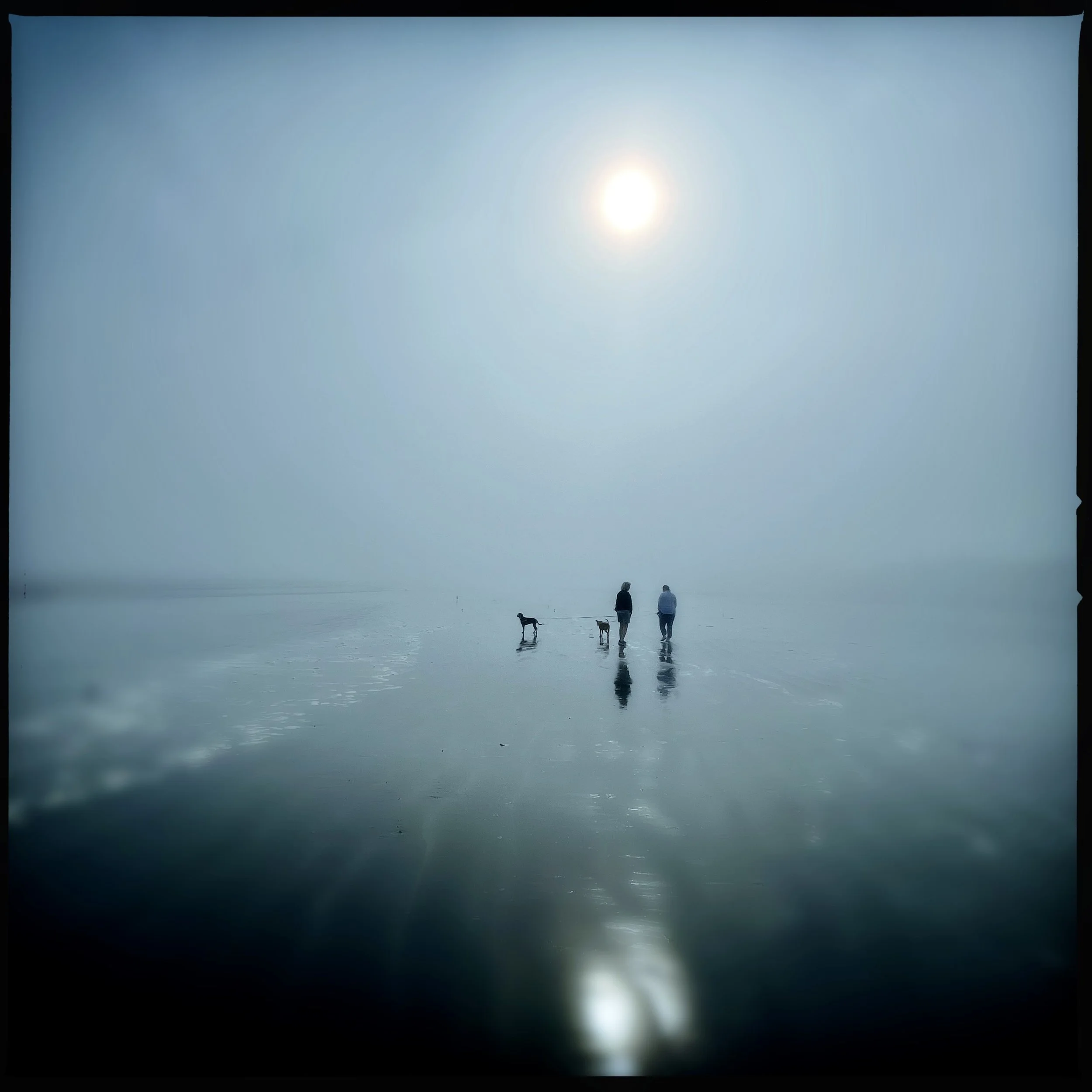 walk on the ocean ,2024